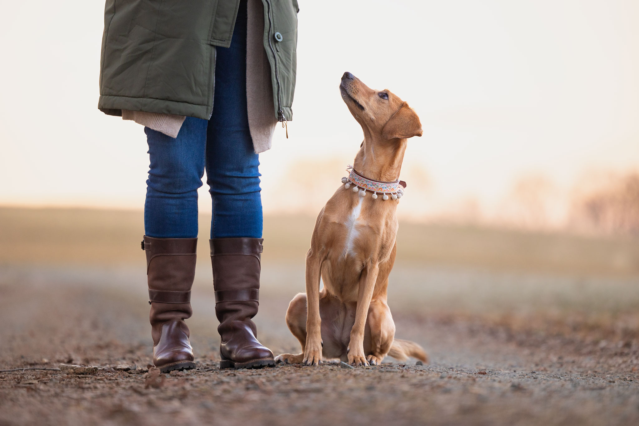 Hund sitzt direkt neben ihrem stehenden Frauchen und schaut erwartungsvoll nach oben.