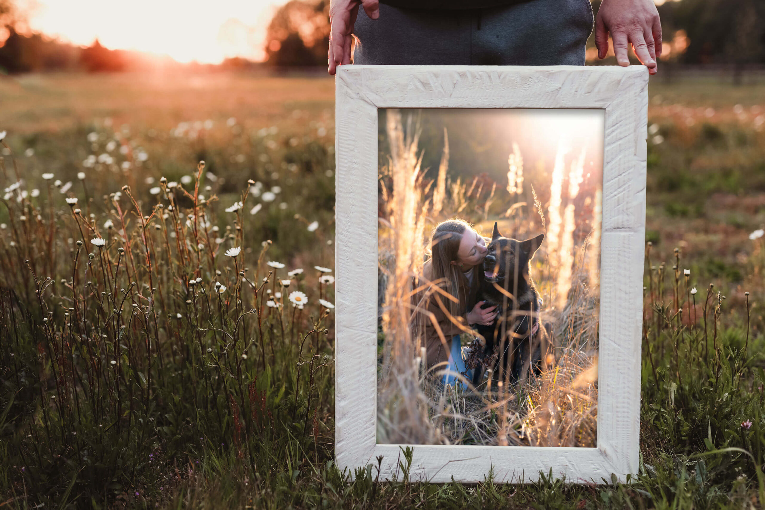 Kopfportrait eines Hundes vor herbstlich bunten Hintergrund.