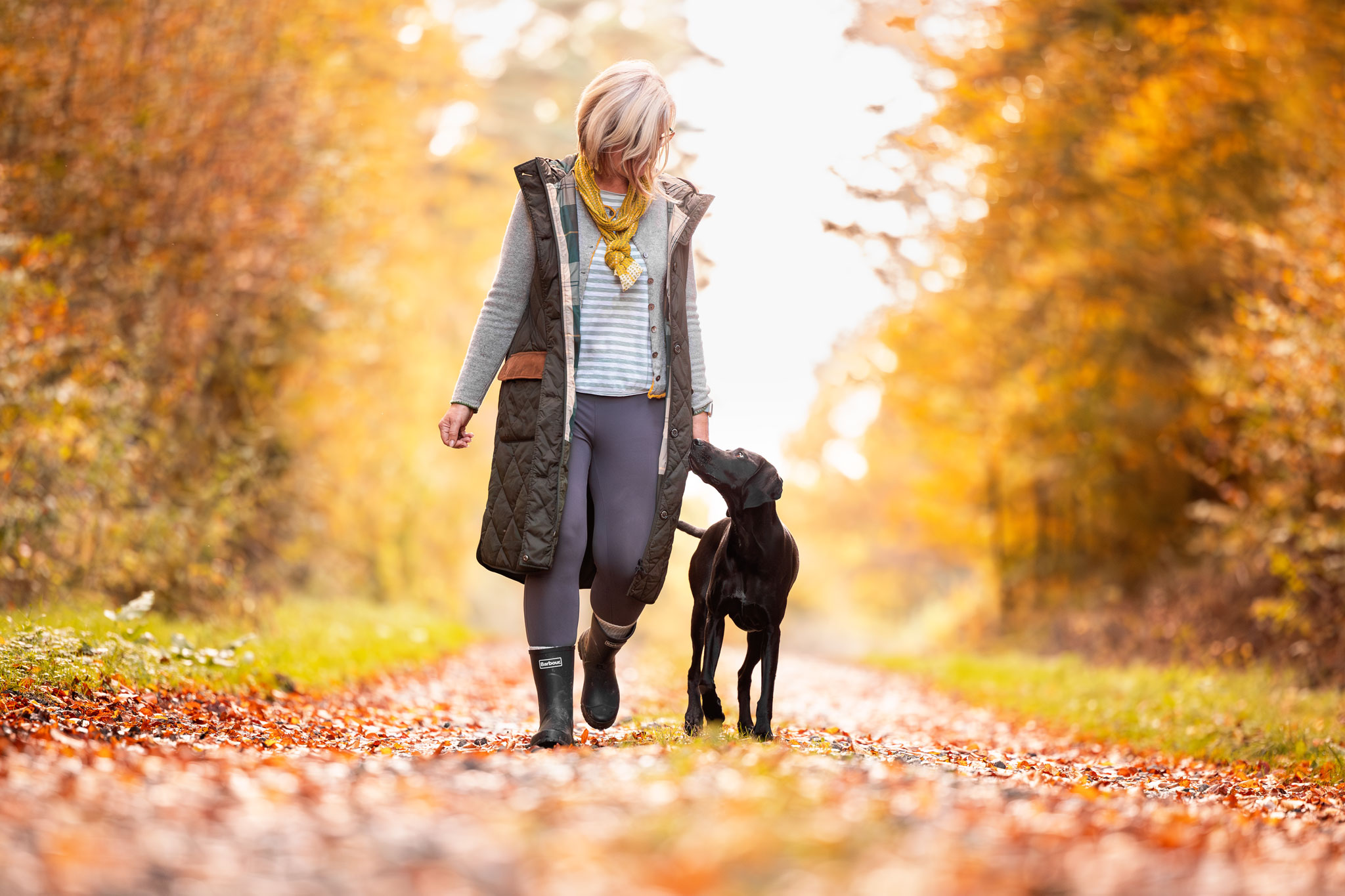 Hund und Frauchen gehen im herbstlichen Wald gemeinsam spazieren.