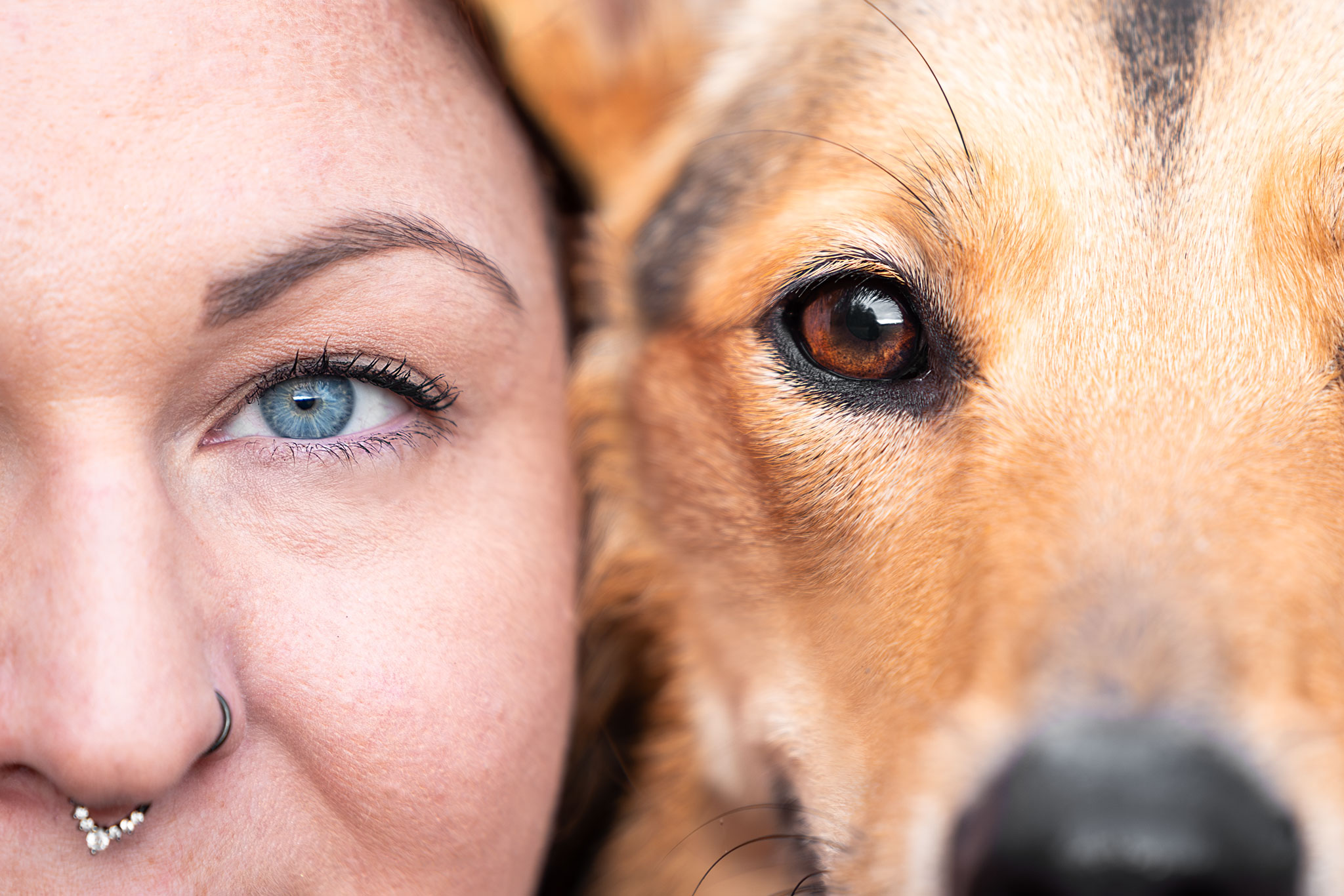 Detailaufnahme der Augen: Frauchen und Hund sind Kopf an Kopf