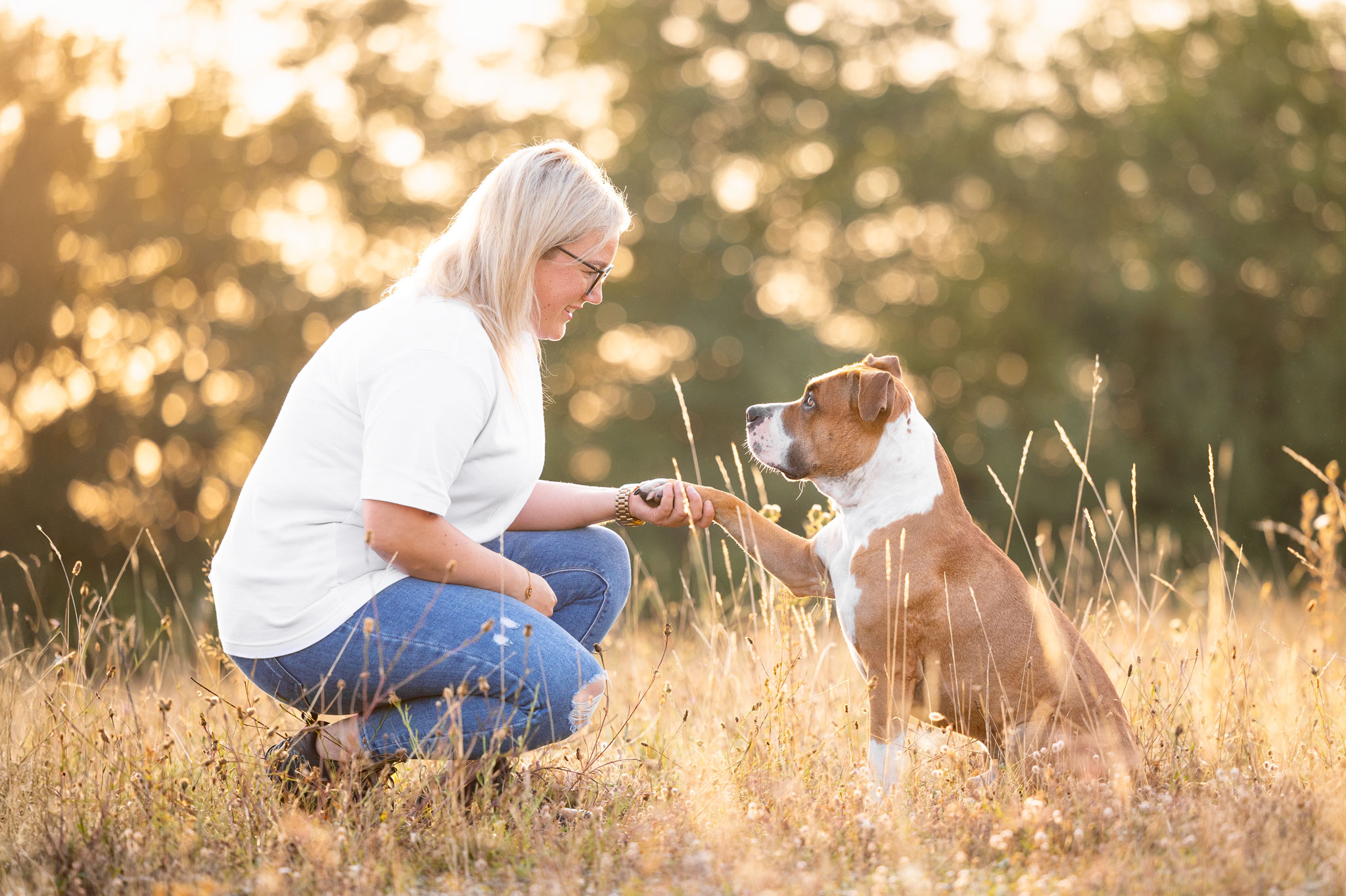 Hund gibt Frauchen die Pfote.