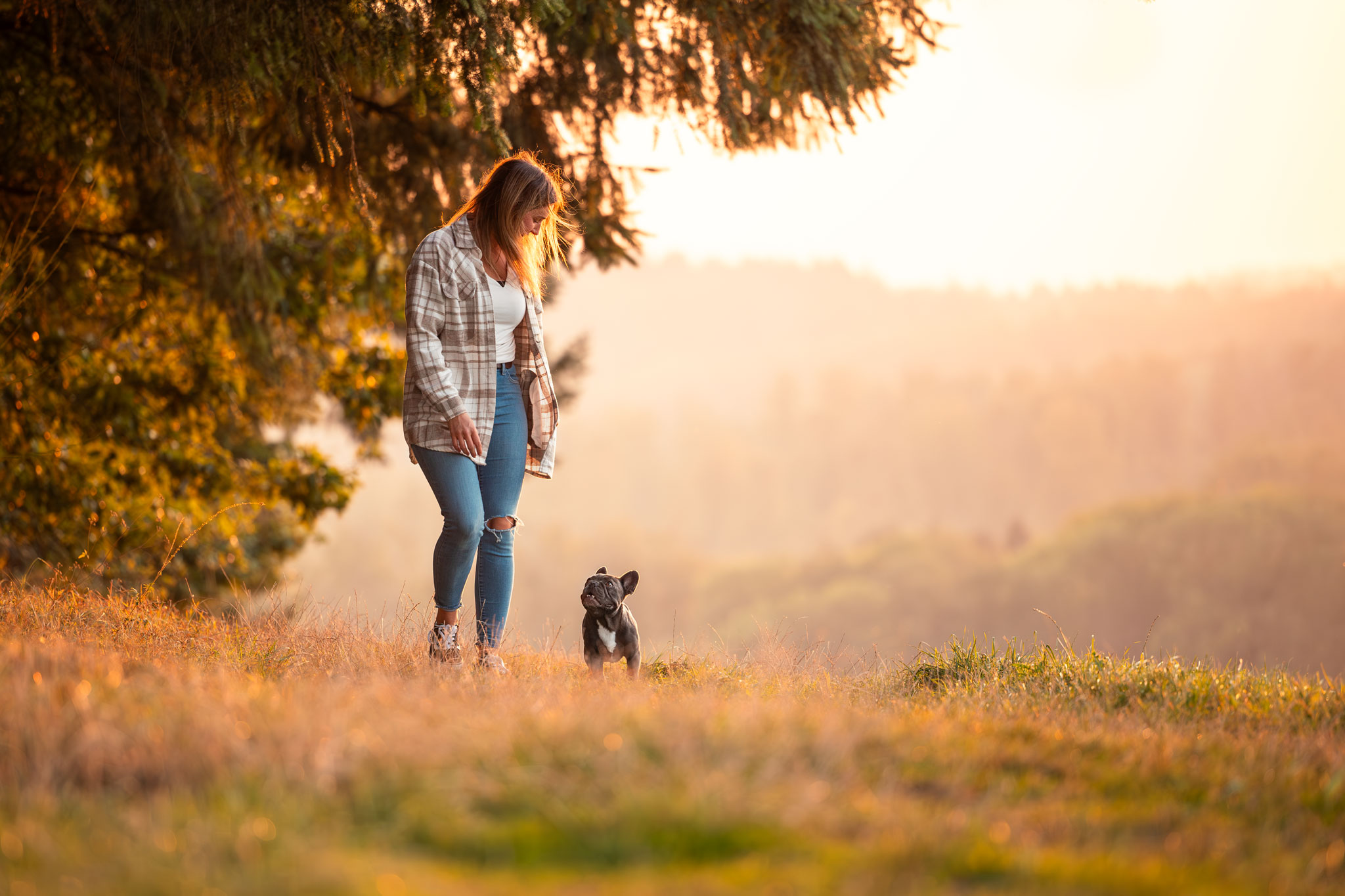 Frauchen läuft mit ihrem Hund im Sonnenuntergang am Waldrand entlang.